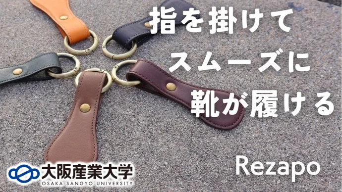 LP_leather-shoehorn_slide_01